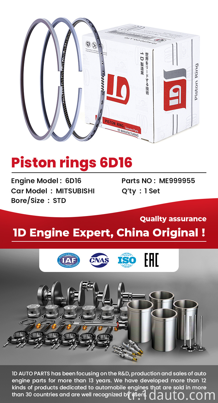Engine Piston Ring for ISUZU Engine 6HH1